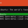 x86_64版Ubuntu 18.04 Bionic Beaverをインストール