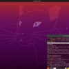 Raspberry Pi 4で64ビット版Ubuntu 20.04 Focal Fossaプレビュー版を起動してみました